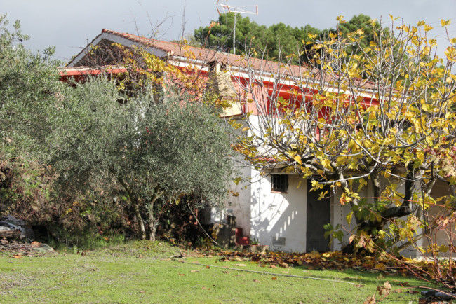 Apartamento Turístico Candeleda Casa de Campo Valle del Tiétar Gredos