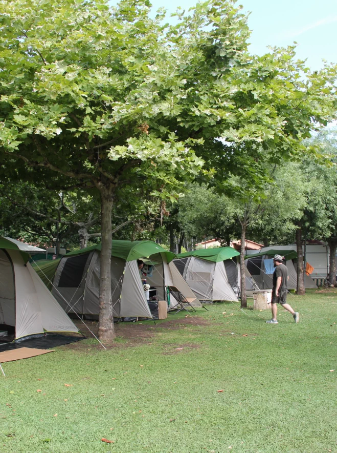 Camping Bungalow Glamping Restaurante La Vera Gredos