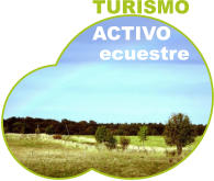 Turismo Activo y Turismo ecuestre en Gredos