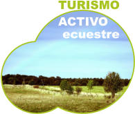 Turismo Activo y Turismo ecuestre en Gredos